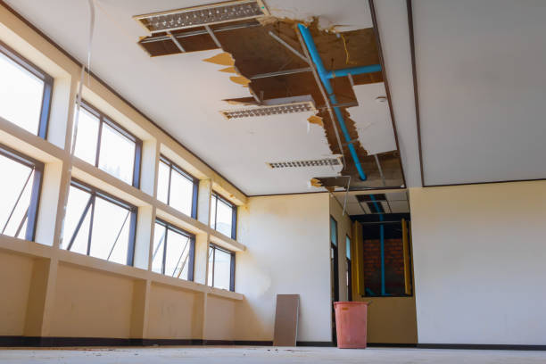 Best Flooded house restoration  in Avery Creek, NC