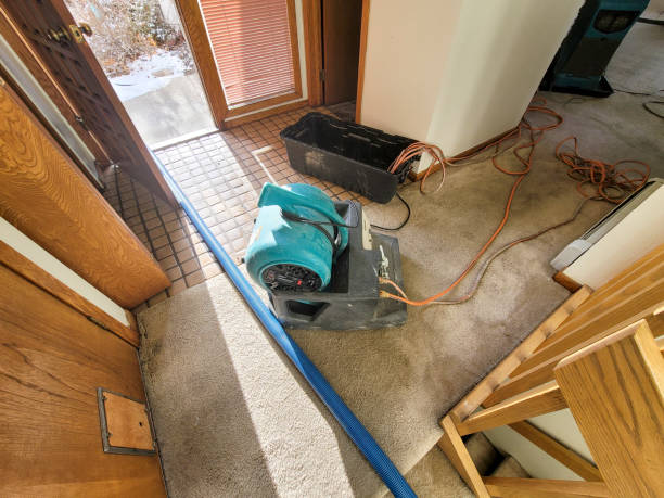 Best Local water damage restoration  in Avery Creek, NC