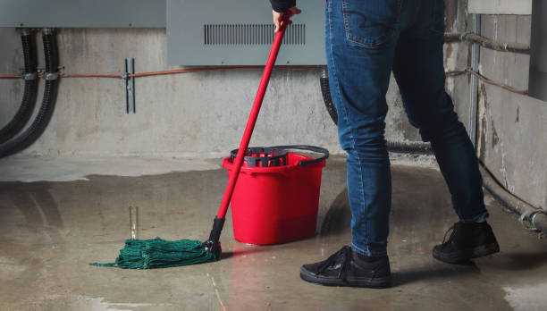 Best Flood damage cleanup  in Avery Creek, NC