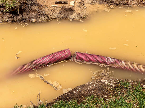 Best Water damage cleanup near me  in Avery Creek, NC